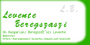 levente beregszaszi business card